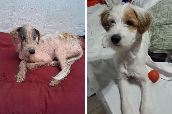 image-20240709170049-5