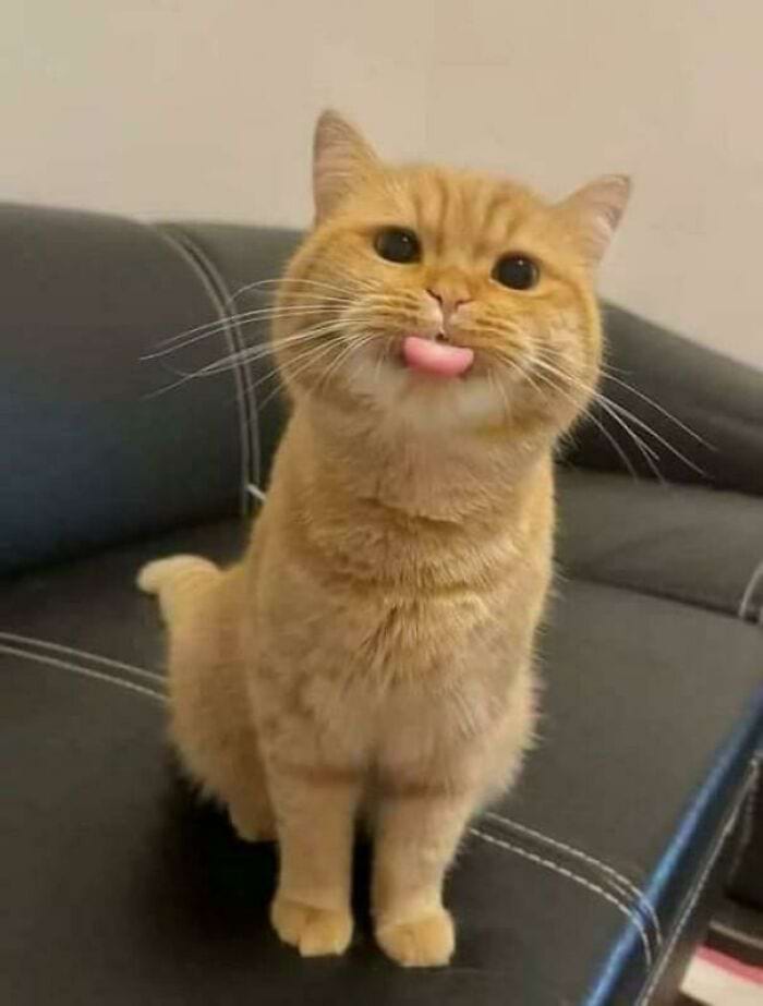 image-20240709170052-6