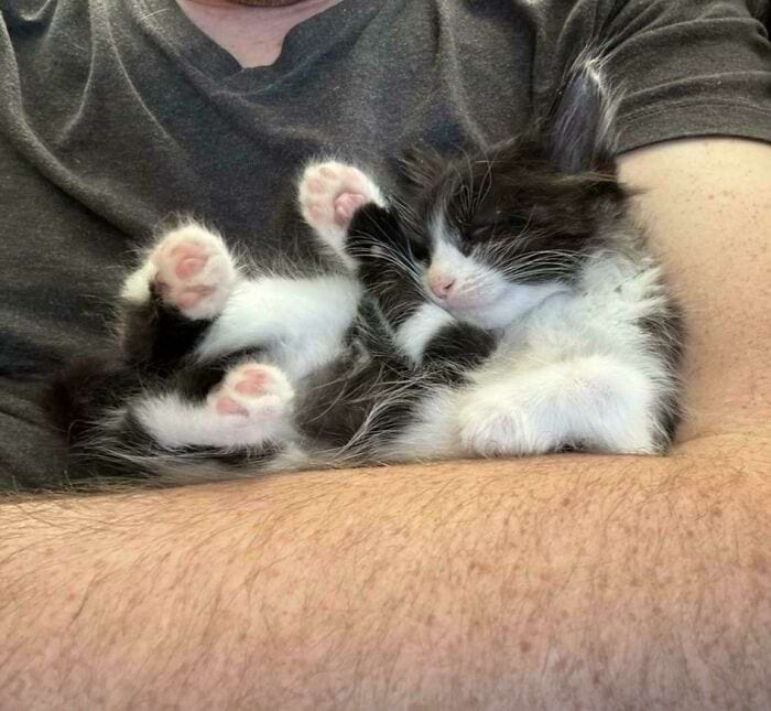 image-20240709170055-7