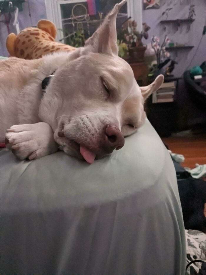 image-20240709170057-8