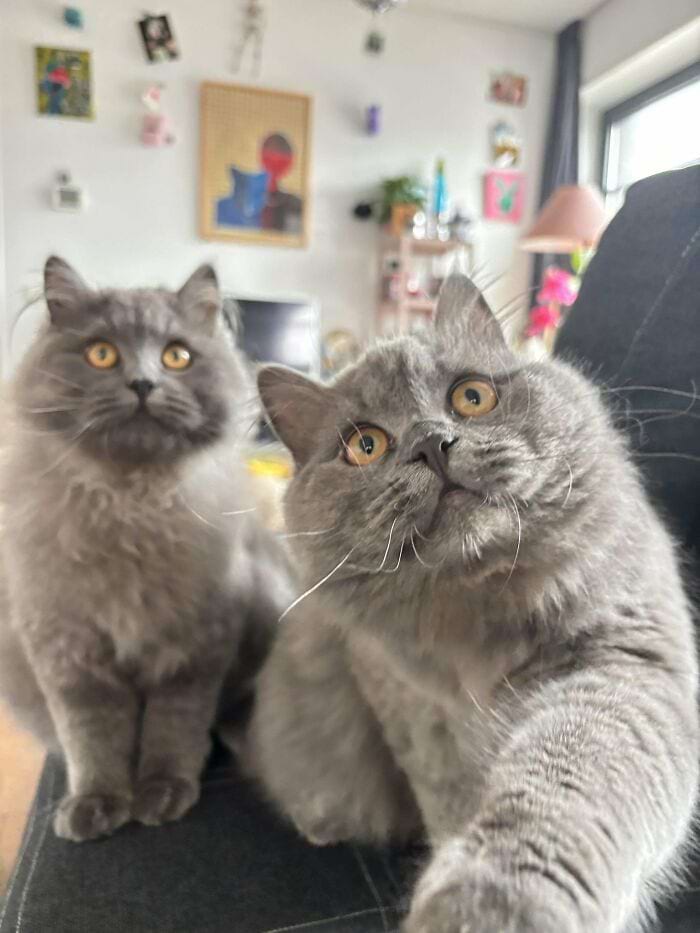 image-20240709170102-9