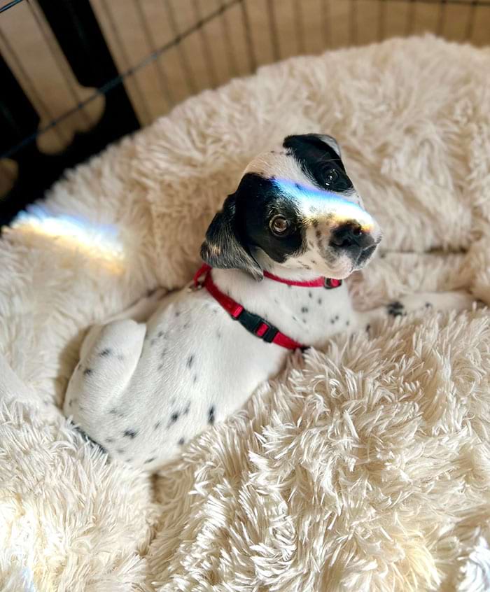 image-20240709170106-10