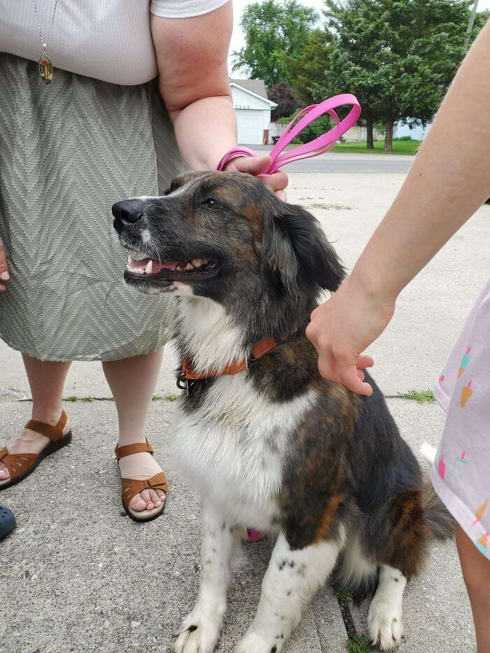 image-20240709170109-11