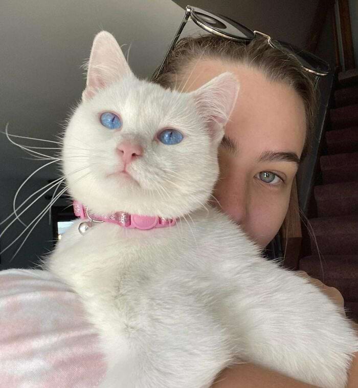 image-20240709170122-14