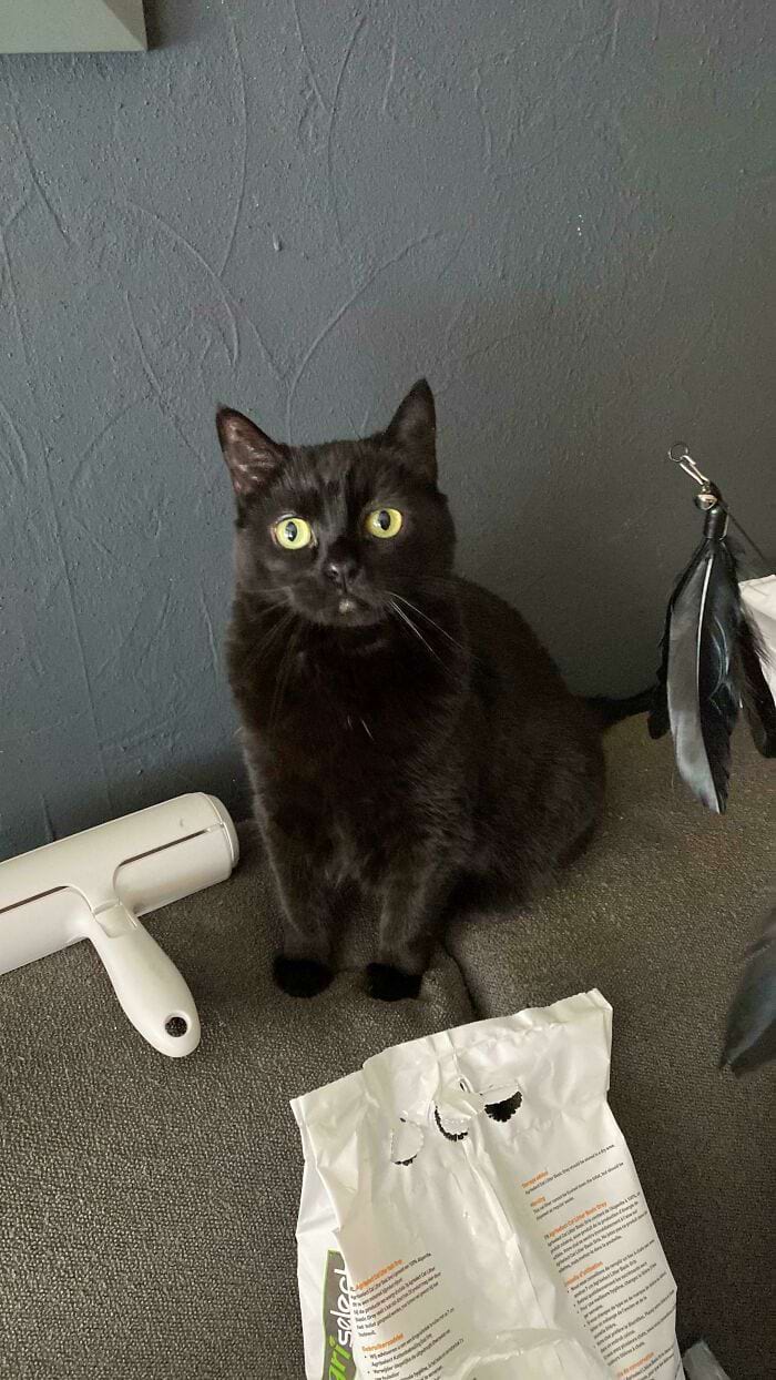 image-20240709170124-15