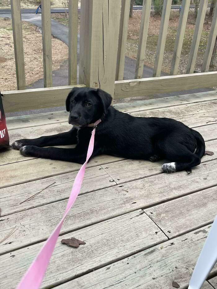 image-20240709170130-17