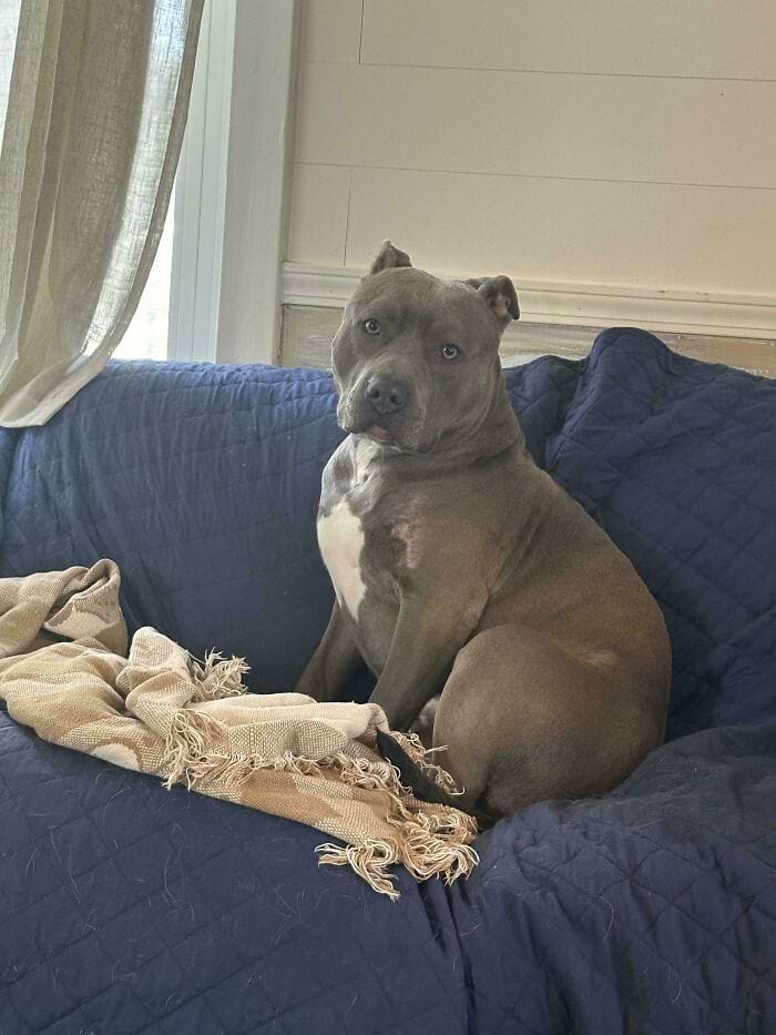 image-20240709170133-18