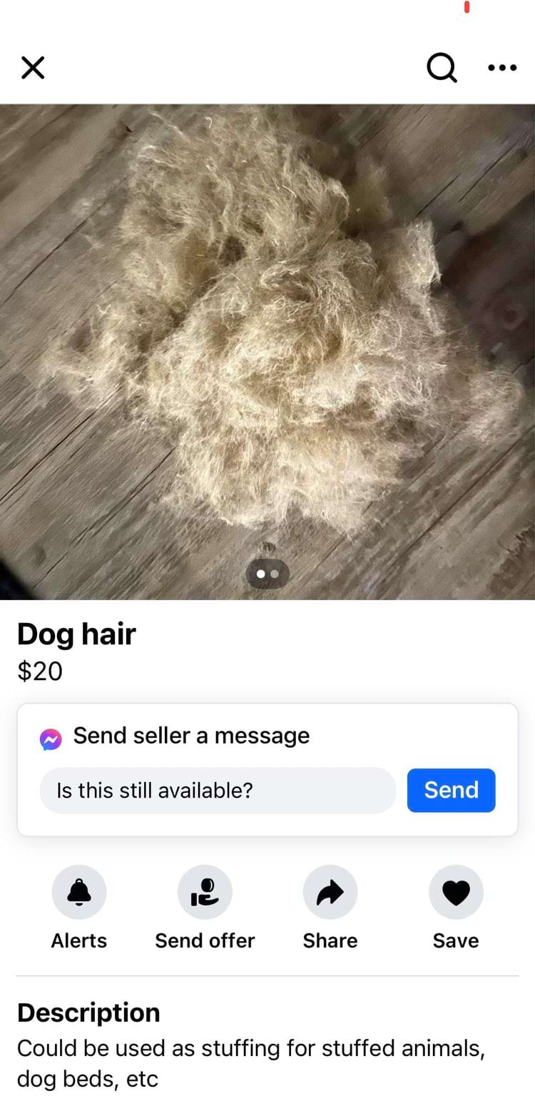 image-20240712142022-3