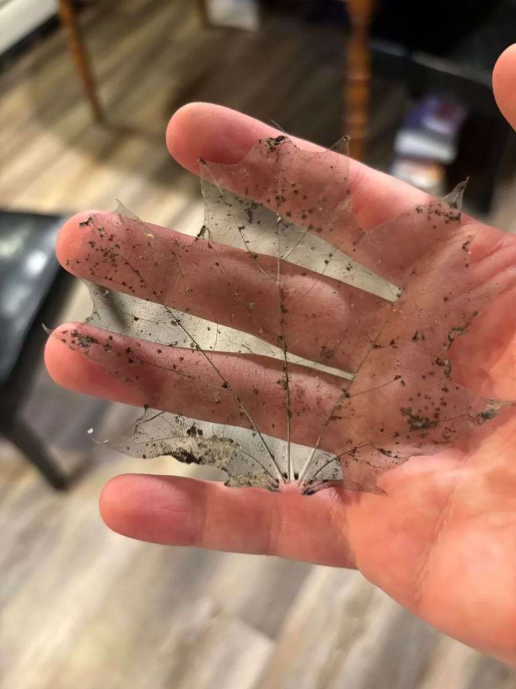 image-20240712142036-7