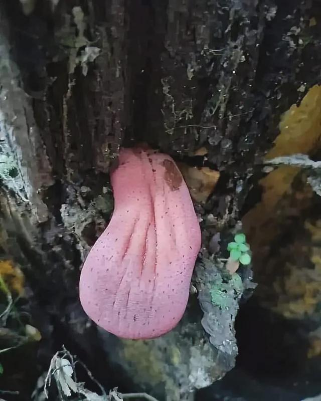 image-20240712142110-15