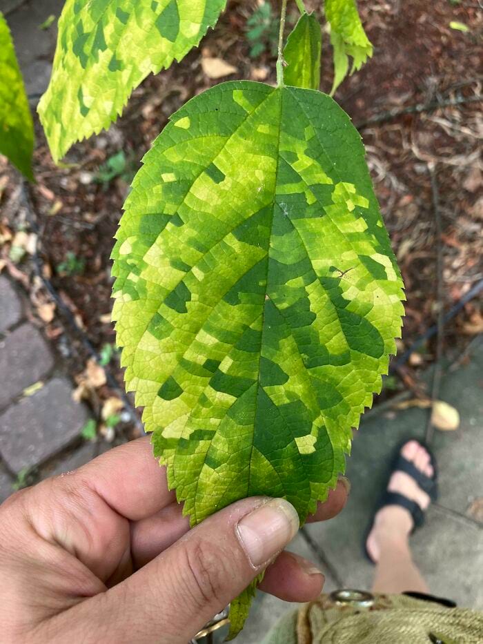 image-20240722142445-4