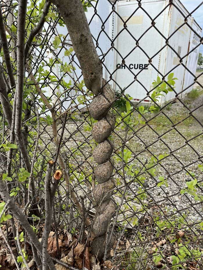 image-20240722142918-10