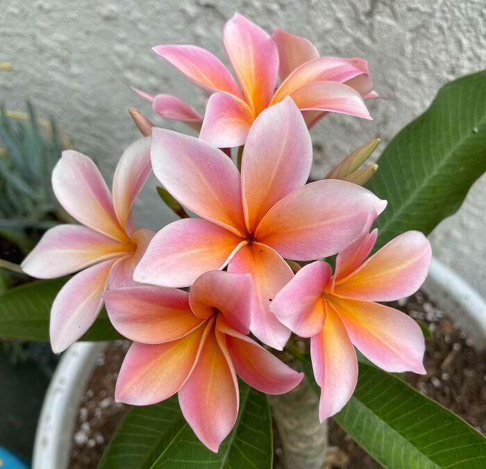 image-20240722142936-14