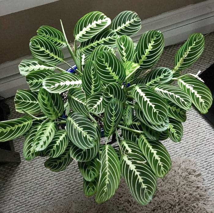 image-20240722142944-17