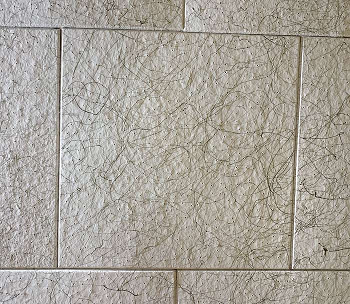 image-20240724125309-14