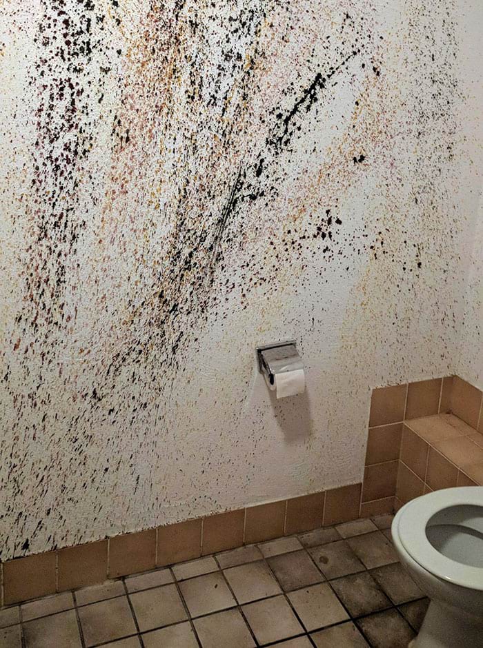 image-20240724125317-17