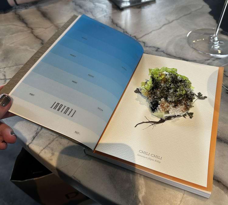 image-20240729135603-6