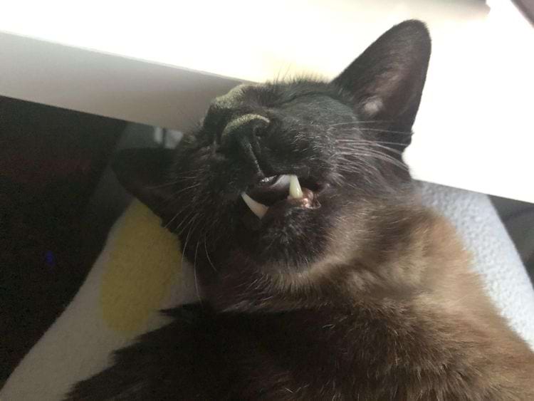 image-20240801180241-7