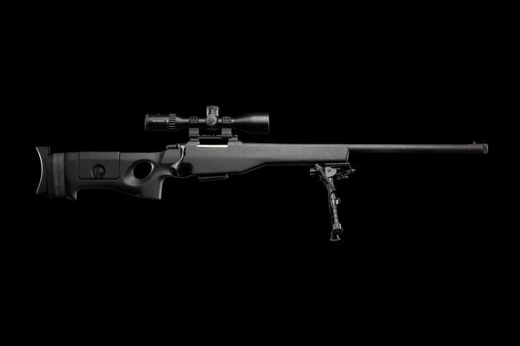 image-20240802164023-2