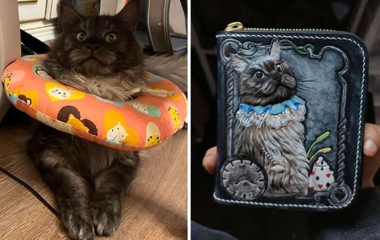 image-20240806135740-12