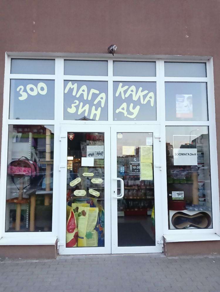 image-20240807124720-6