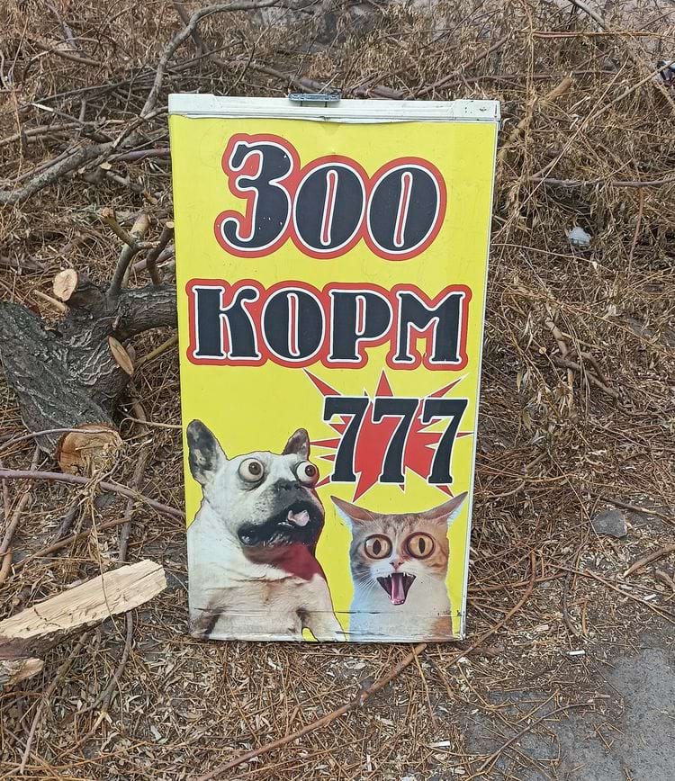 image-20240807124739-11