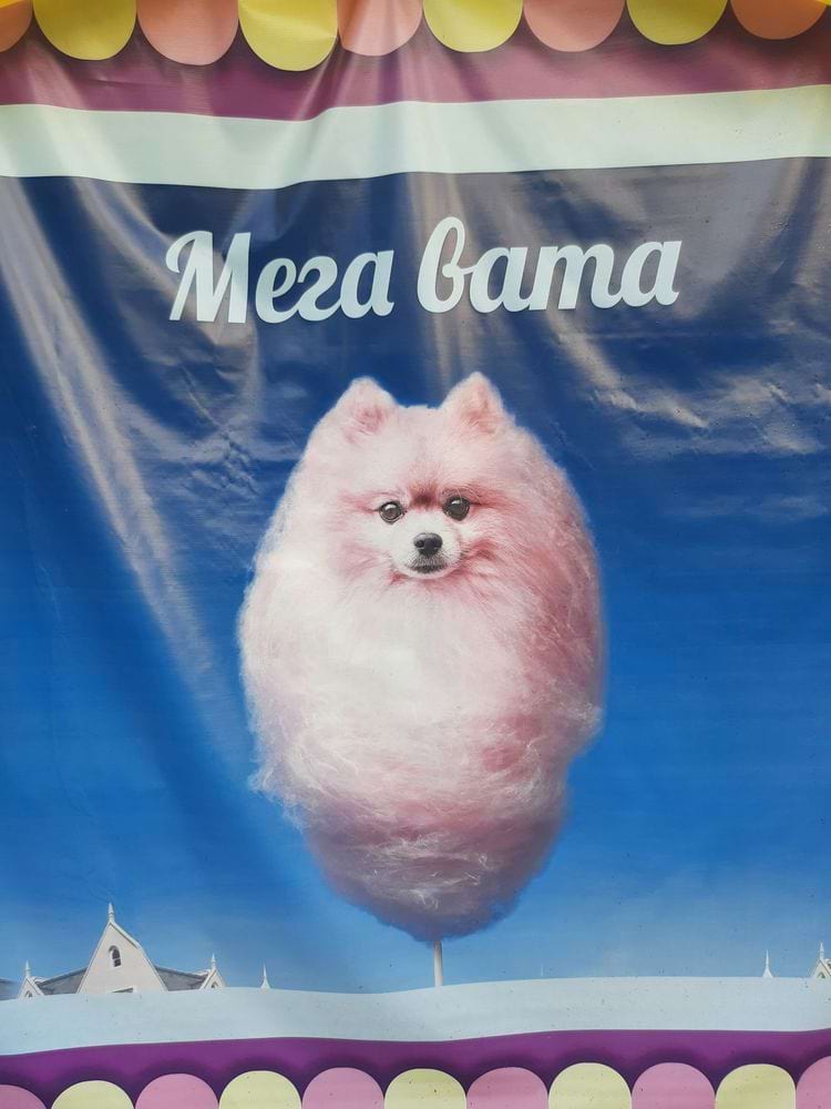 image-20240807124748-14