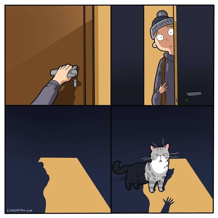 image-20240812115020-1