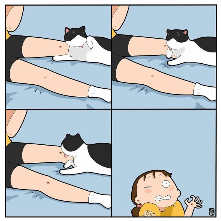 image-20240812115117-13