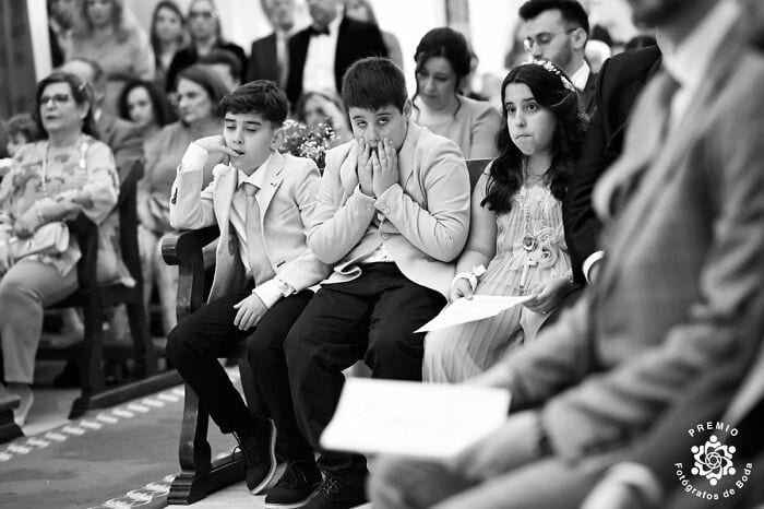 image-20240814112223-3