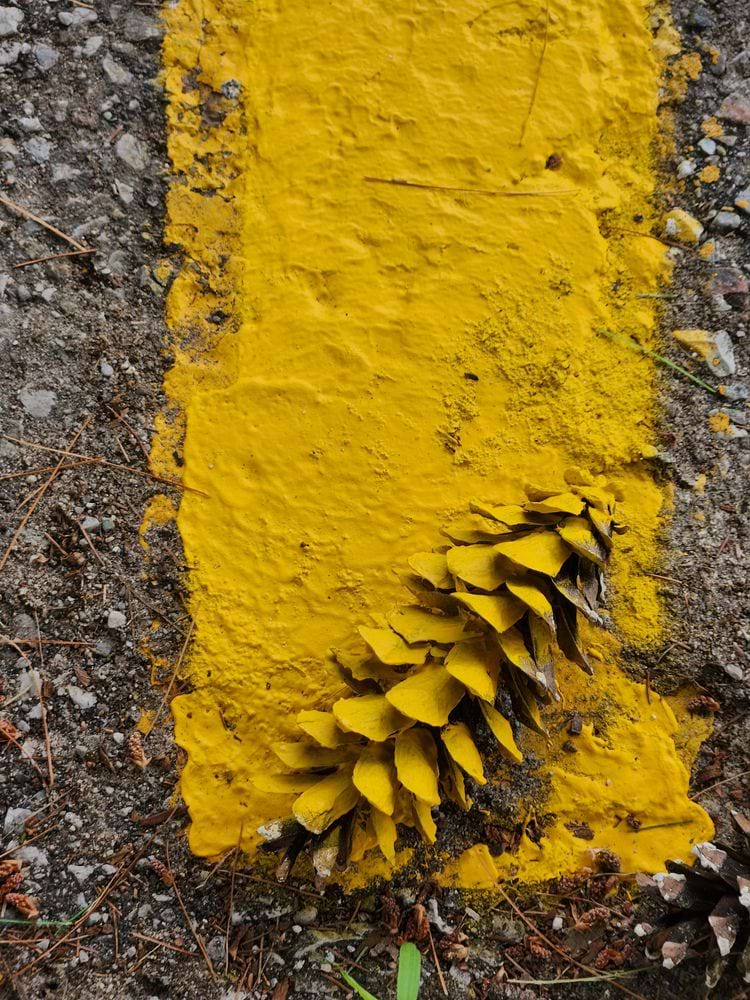 image-20240814132010-1