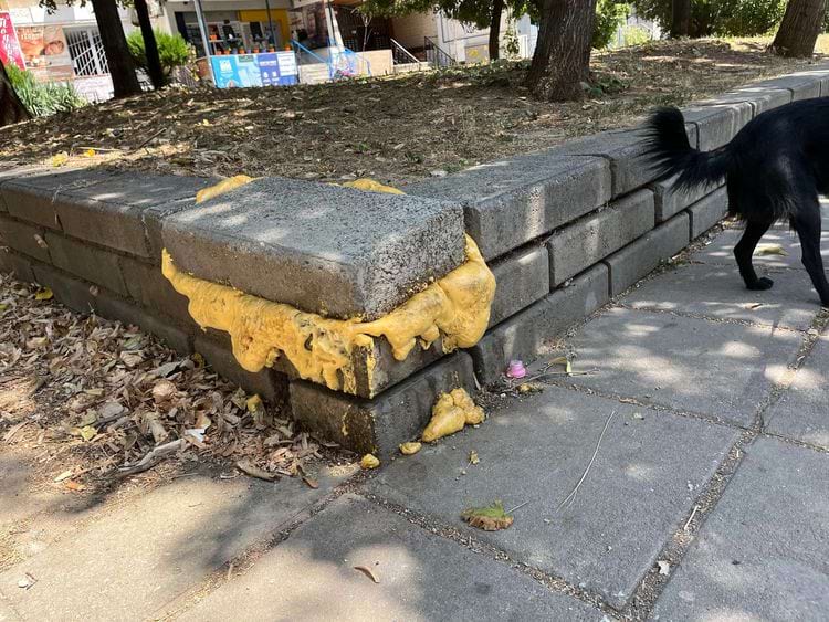 image-20240814132024-5