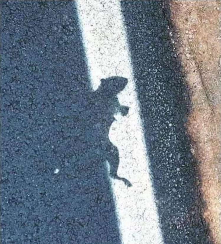 image-20240814132109-12