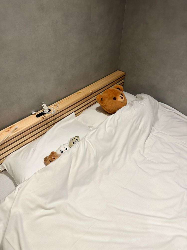 image-20240815130853-15