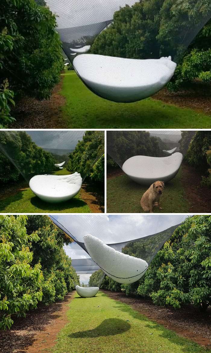 image-20240815154507-6