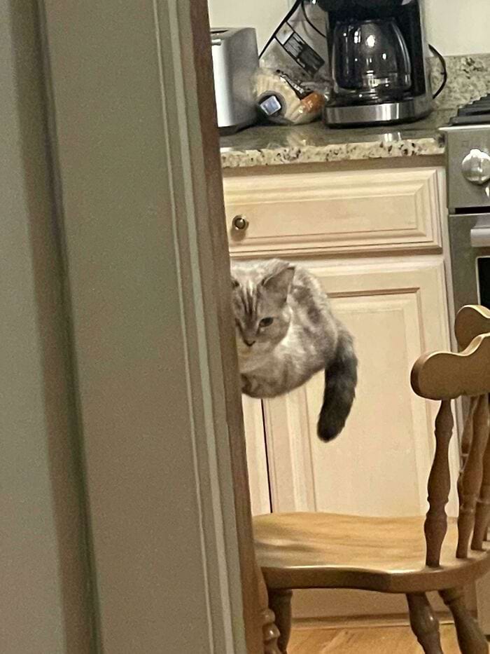 image-20240820150841-1