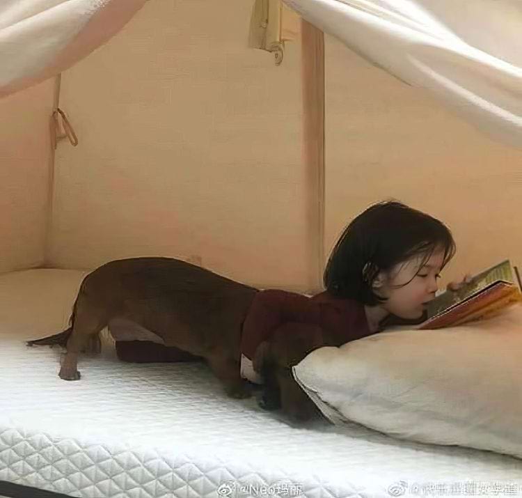 image-20240820150854-5