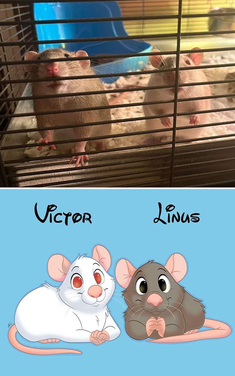 image-20240902112707-1