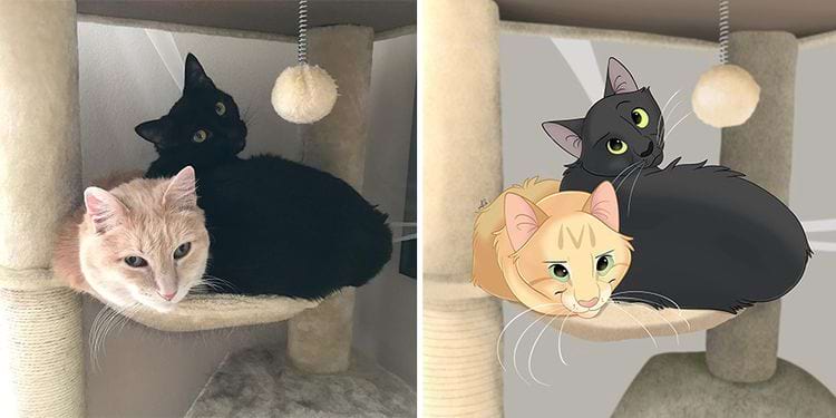 image-20240902112715-4