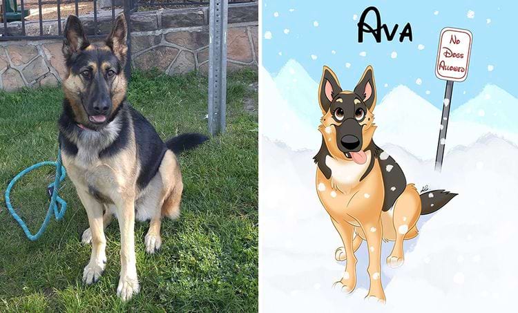 image-20240902112736-10