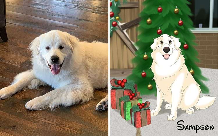 image-20240902112810-14