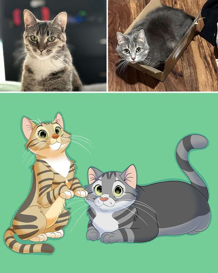 image-20240902112813-15