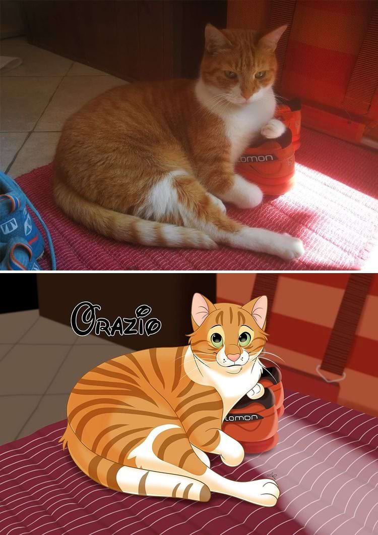 image-20240902112817-16