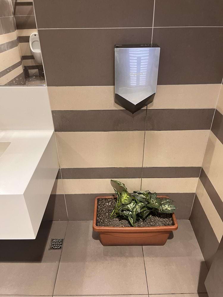 image-20240906171420-5