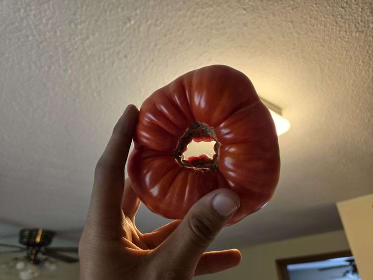 image-20240906171435-9