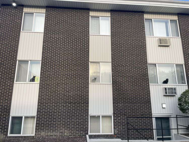 image-20240906171438-10