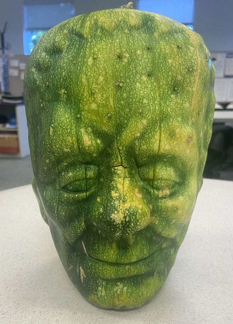 image-20240906171448-13