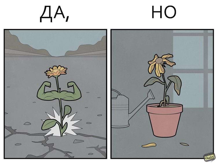 image-20240909111818-8