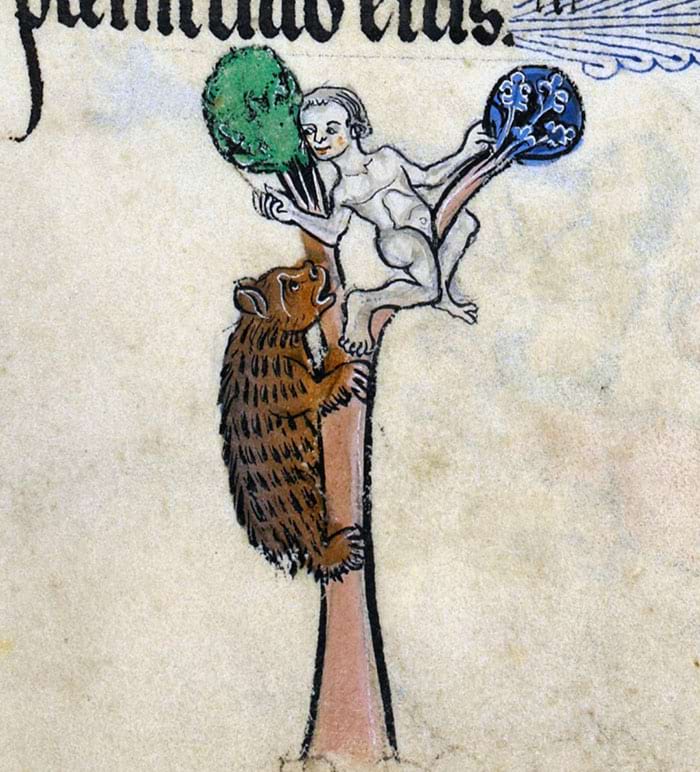 image-20240910113515-4