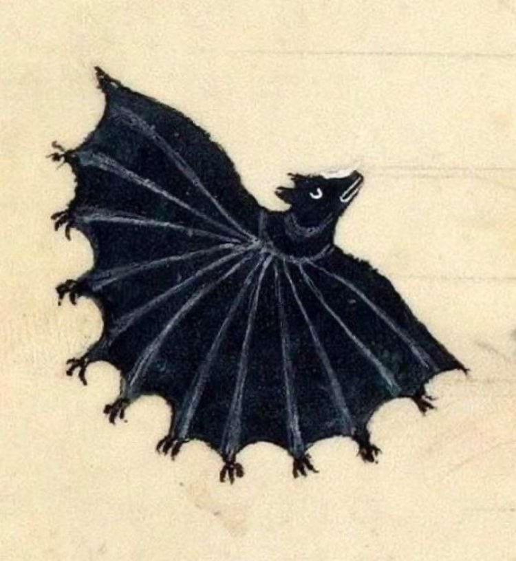 image-20240910113543-11